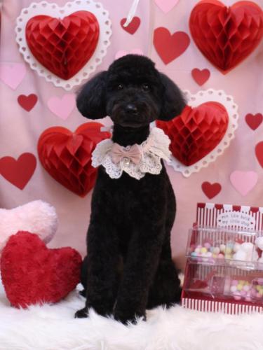 20240218アロちゃん